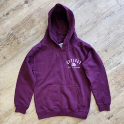 Odyssey Kids Hoodie – Plum